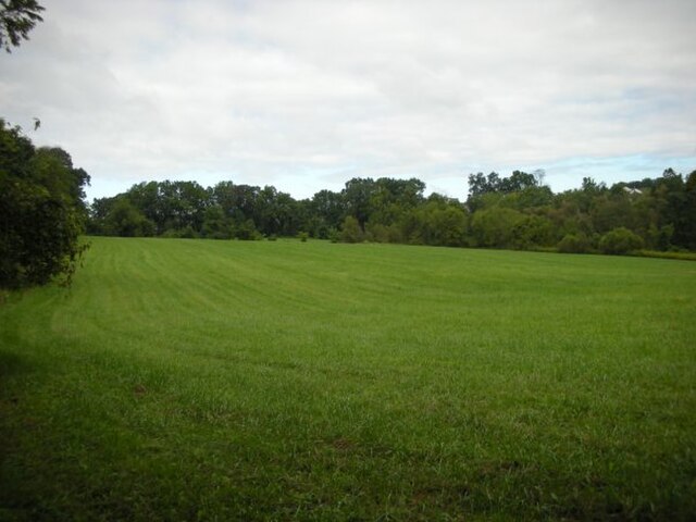 A field north of Fox Den Road along the Lenape Trail in Middle Run Valley Natural Area