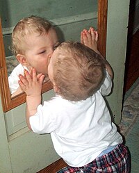 http://upload.wikimedia.org/wikipedia/commons/thumb/6/60/Mirror_baby.jpg/200px-Mirror_baby.jpg