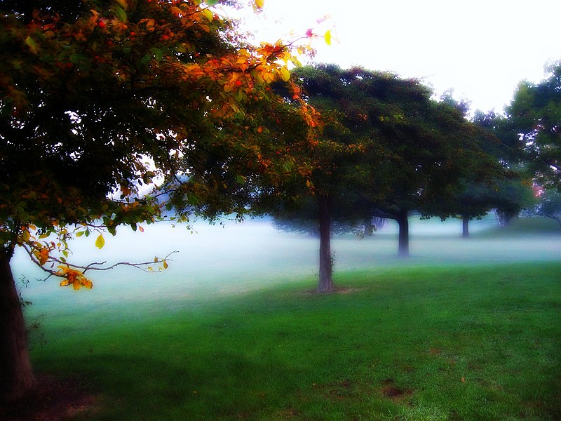 File:Mitchell park fog - milwaukee.jpg