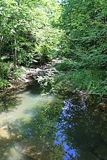 Thumbnail for Monroe Creek (Tunkhannock Creek tributary)