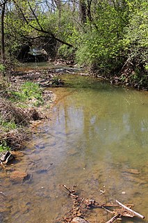 Muddy Run (West Branch Susquehanna River tributary) tributary of the West Branch Susquehanna River in Northumberland County, Pennsylvania