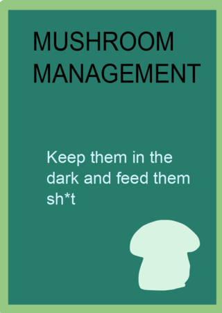 <span class="mw-page-title-main">Mushroom management</span> Company with dysfunctional communication between managers and employees