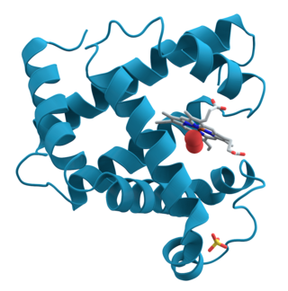 <span class="mw-page-title-main">Protein</span> Biomolecule consisting of chains of amino acid residues