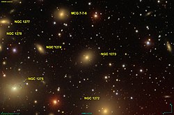 NGC 1273 SDSS.jpg