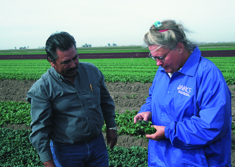 File:NRCSAZ02064 - Arizona (411)(NRCS Photo Gallery).tif