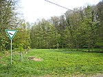 Naturschutzgebiet Wiembachtal und Seitensiefen