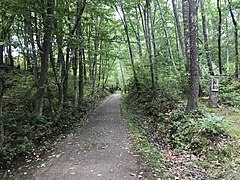 Mass Central Rail Trail - Wikipedia