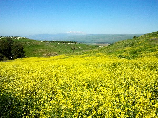 Mahanayim River valley