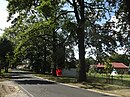 Natural Monument Oak Row 2019-08-04 (1) .jpg