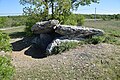 Tümülüs altında dolmen