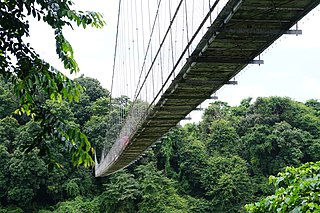 Nilambur hanging bridge 03729.JPG