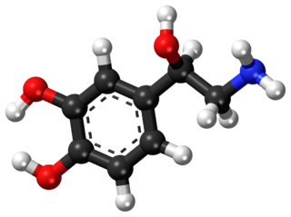 Norepinephrine ball-and-stick model.png