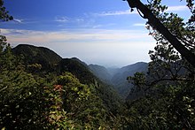 North-east view over forest valley from Gunung Salak 1 Halimun Salak National Park.jpg