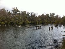 Old Trigwell Bridge ruins near Moodiarrup on the Blackwood River Old Trigwell Bridge ruins 01.jpg