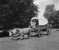 Opnamen FF-tentoonstelling te Enschede. Een Transvaalse boer met een huifkar get, Bestanddeelnr 904-7345.jpg