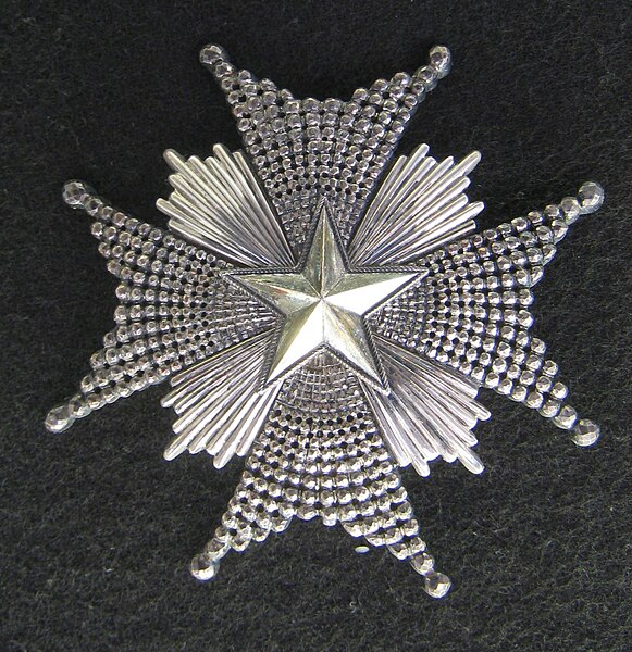 File:Order of the North Star, Star (Sweden) - Fram Museum.jpg