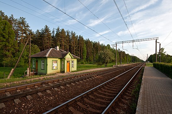 Ж д ст. Латвийская железная дорога станция Jelgava. Озолниеки Латвия. Станция Мадалан. Озолниеки Латвия достопримечательности.