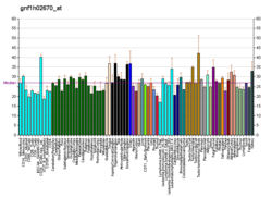 PBB GE SYCP3 gnf1h02670, fs.png'de