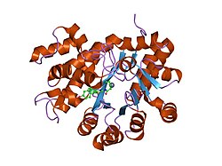 PDB 1wxy EBI.jpg