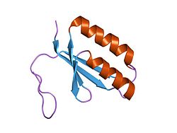 PDB 1zpw EBI.jpg