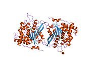 PDB 2afu EBI.jpg