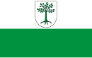 Drapeau de Kruszwica