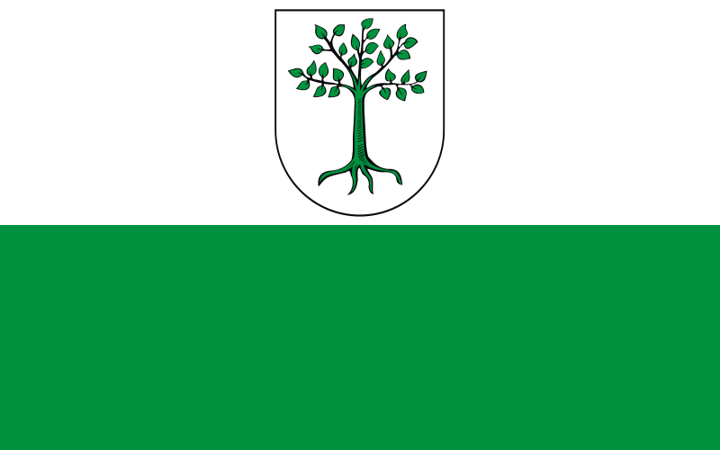 File:POL Kruszwica flag.svg