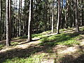 Čeština: Přírodní park Manětínská. Okres Plzeň-sever, Česká republika.