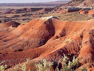 <span class="mw-page-title-main">Painted Desert (Arizona)</span> Desert in Arizona