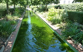 A reflecting pool on the Coulée verte