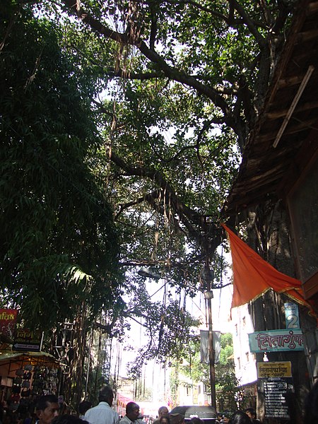 File:Parn kuti, nashik 03.jpg