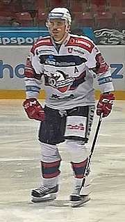 Thumbnail for Petr Sýkora (ice hockey, born 1978)