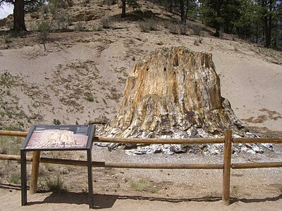 Petrified Stump P6010846.JPG