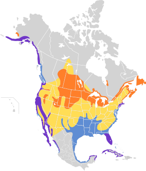Phalacrocorax auritus map.svg