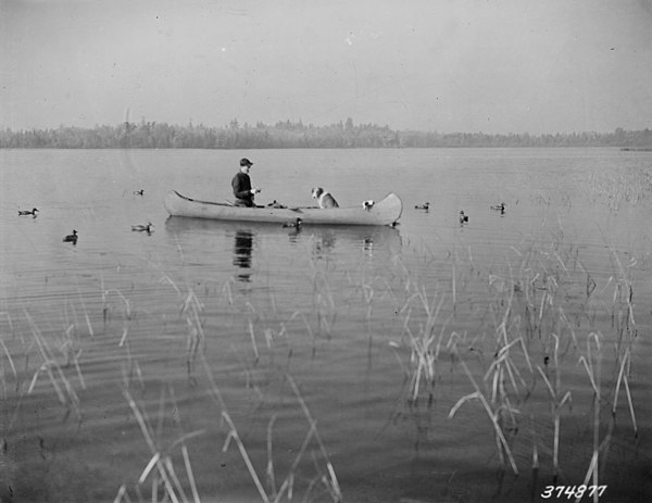 A duck hunter with his dog on a lake in the Chippewa National Forest in a photograph taken on November 27, 1938 by an employee of the United States De