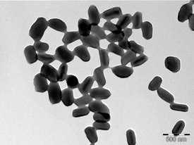 Phthorimaea operculella granulovirus