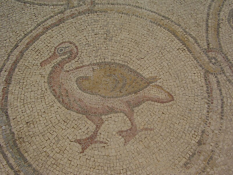 File:PikiWiki Israel 32226 Birds mosaic in Caesarea.jpg