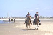 PikiWiki Israel 9582 Geography of Israel.JPG