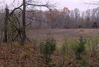 The view from atop Mound 29 into the area enclosed by the walls of the Eastern Citadel below Pinson-mounds-mound29.jpg