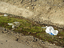 A polluted ditch along Interstate 25 between Colorado Springs and Pueblo, Colorado. Polluted Ditch by David Shankbone.jpg