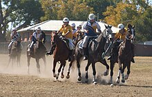 Playing polocrosse in New South Wales, Australia. No.1 Attack, Quirindi Club Final. Polocrosse 3.jpg