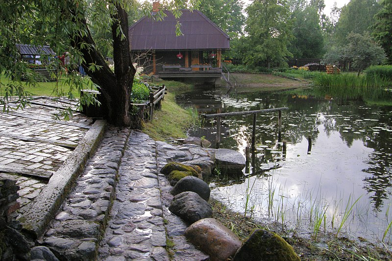 File:Pond - panoramio (9).jpg