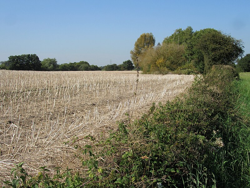File:Post-harvest field - geograph.org.uk - 6272174.jpg