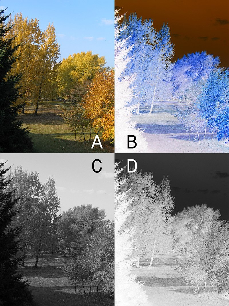 Invert Image Colors (negative / positive inversion)