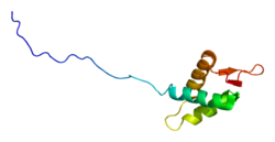 Proteino CUL3 PDB 1iuy.png