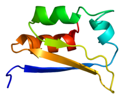 Ақуыз HDLBP PDB 1vig.png