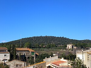 Puig del Pal