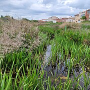 Río Trabancos a su paso por Horcajo de las Torres dentro de la zona ZEPA