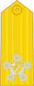 Capitán de la armada