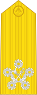 File:RTN OF-10 (Admiral of the Fleet).svg